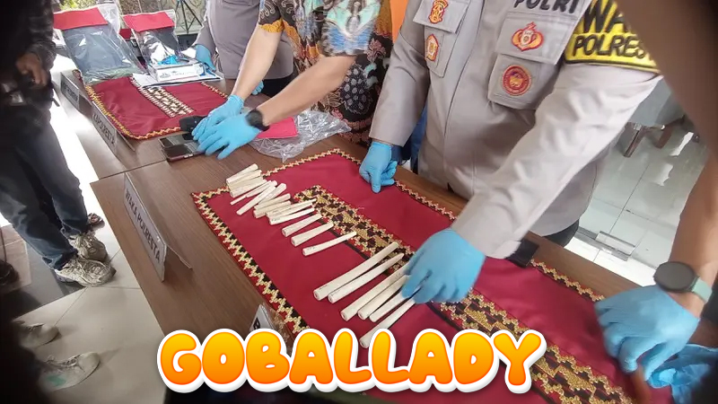 Nyambi Jual Pipa Rokok dari Gading Gajah, Pedagang Sepatu di Lampung Terancam 15 Tahun Penjara